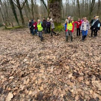 Chaulgnes_05 février 2025