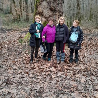 Chaulgnes_05 février 2025