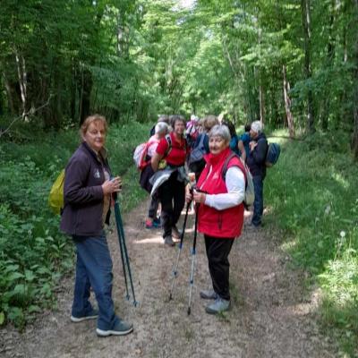 Cours-les-Barres_07 mai