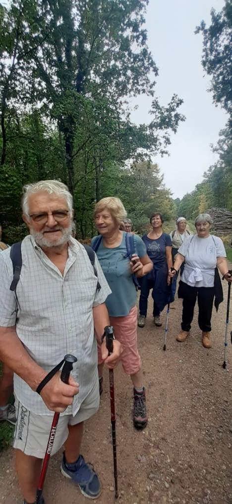 Forêt de Tronçais le 13 septembre 2023