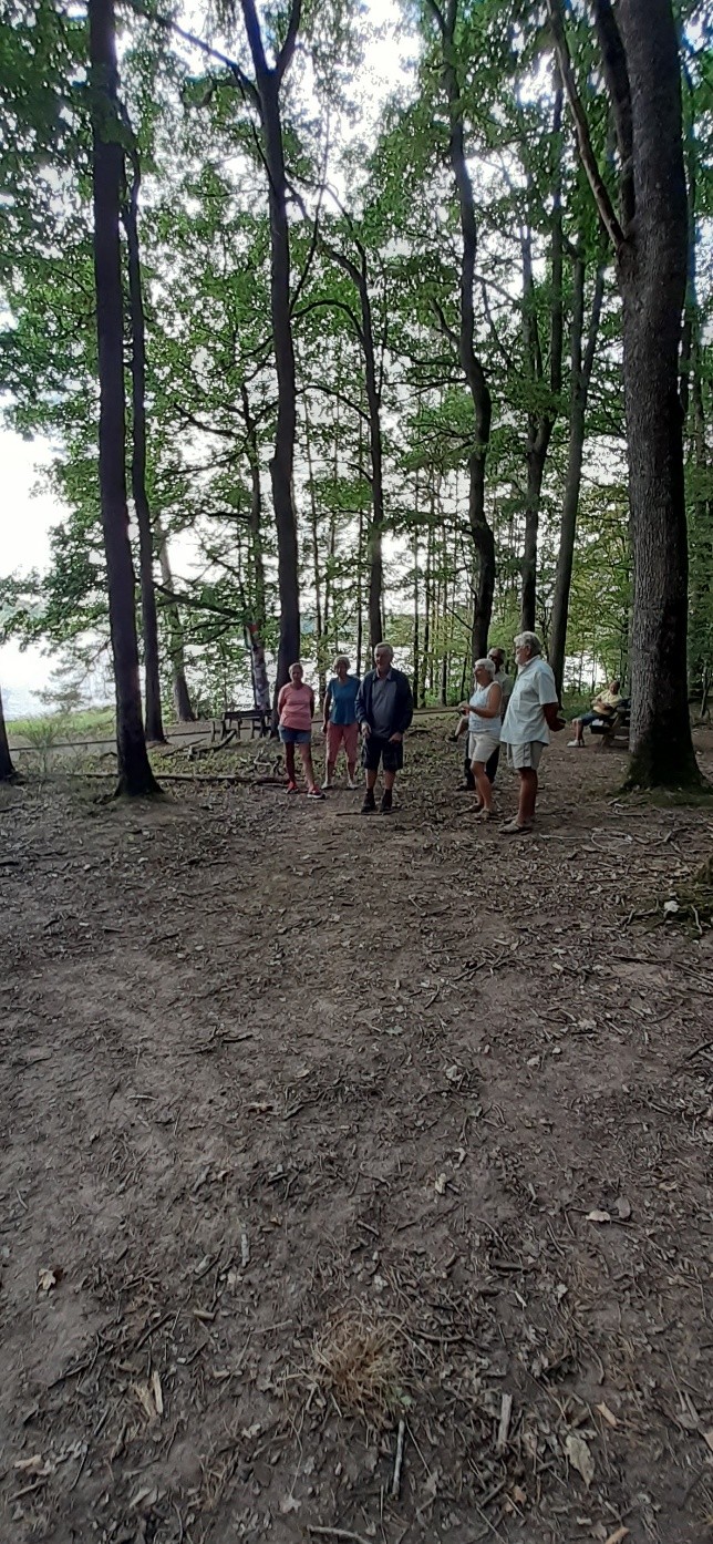 Forêt de Tronçais le 13 septembre 2023