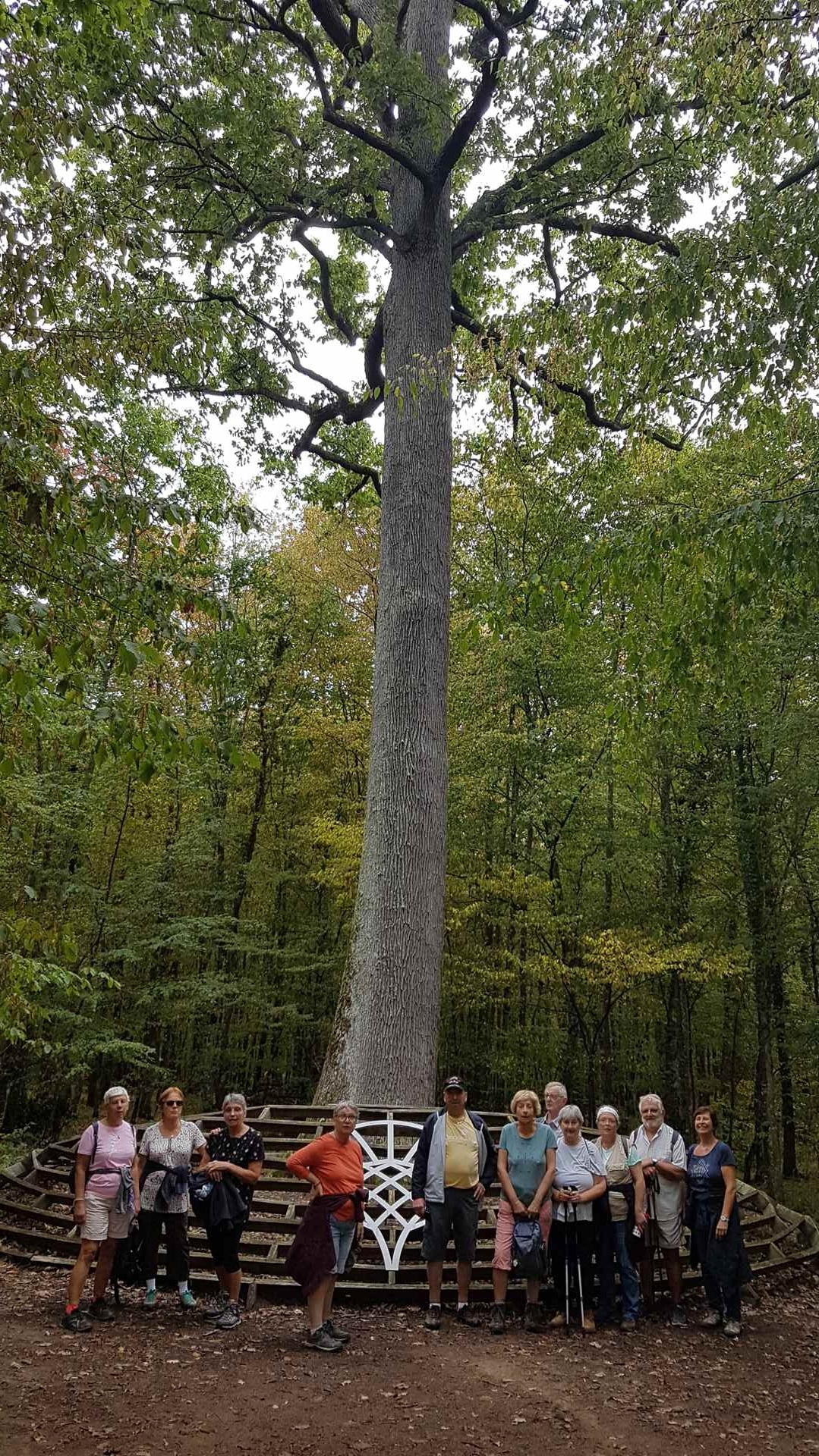 Forêt de Tronçais le 13 septembre 2023