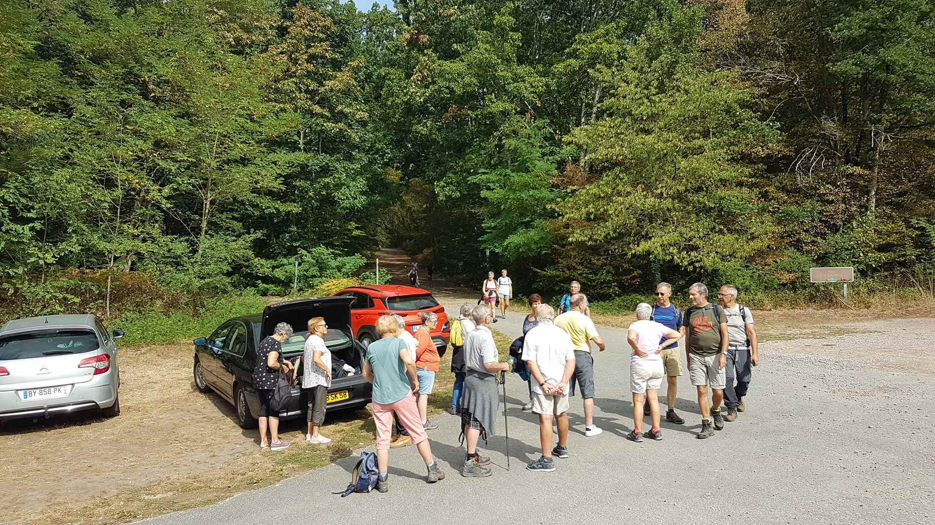 Forêt de Tronçais le 13 septembre 2023