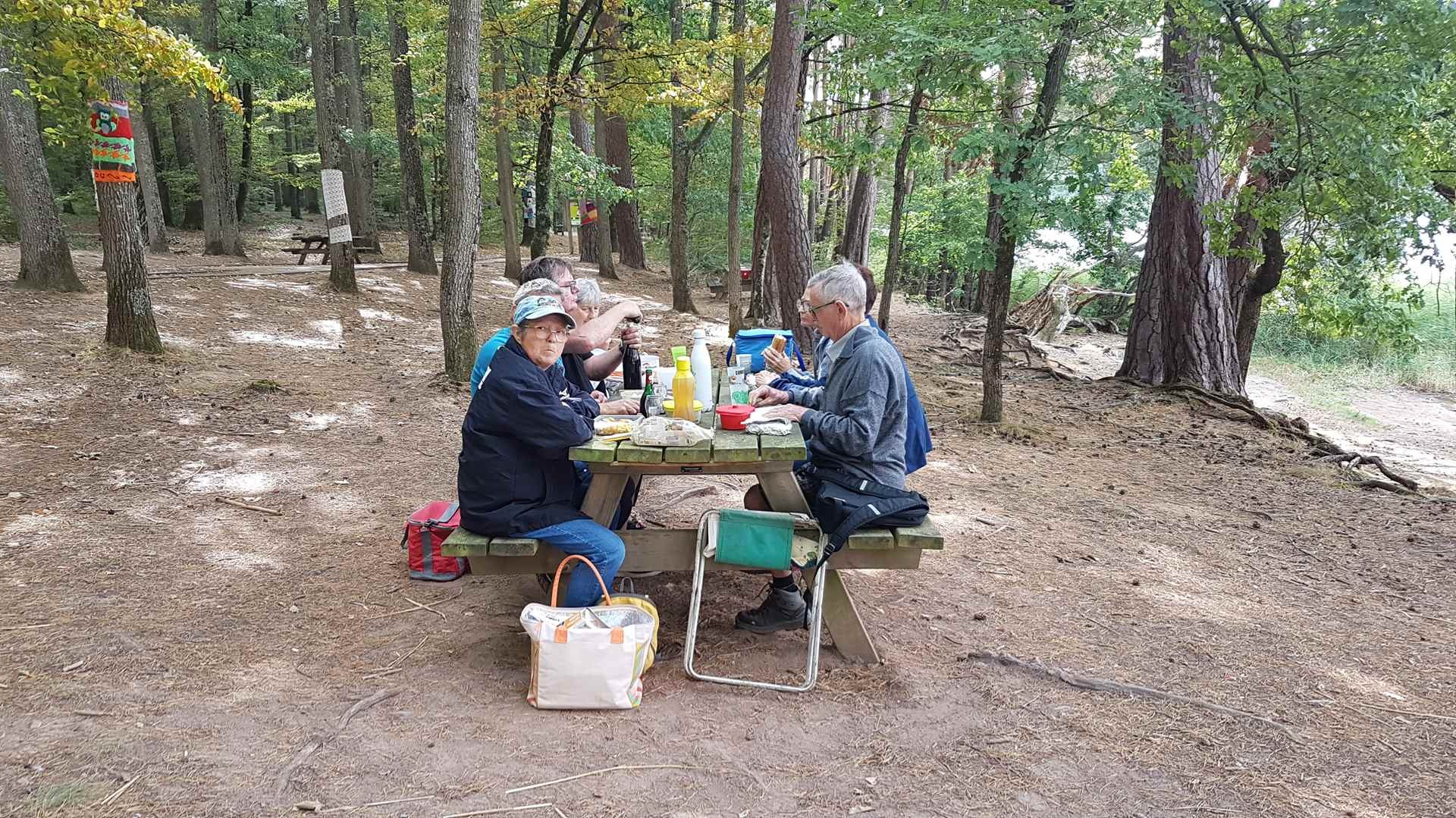 Forêt de Tronçais le 13 septembre 2023