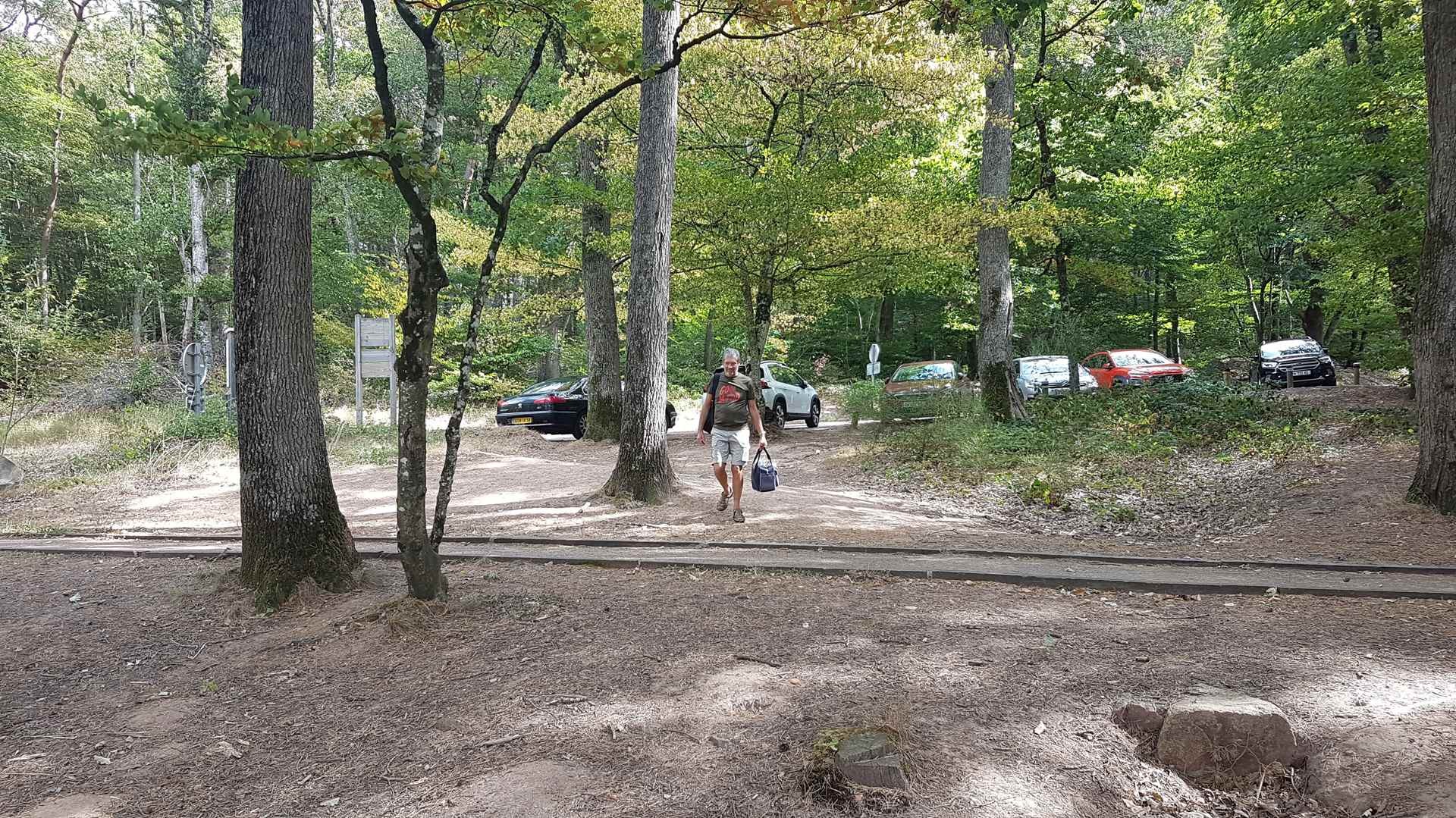 Forêt de Tronçais le 13 septembre 2023