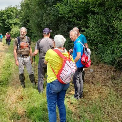 Frasnay-Reugny_ 04 Juin 