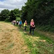 Frasnay-Reugny_ 04 Juin 