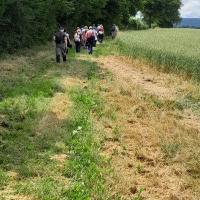 Frasnay-Reugny_ 04 Juin 