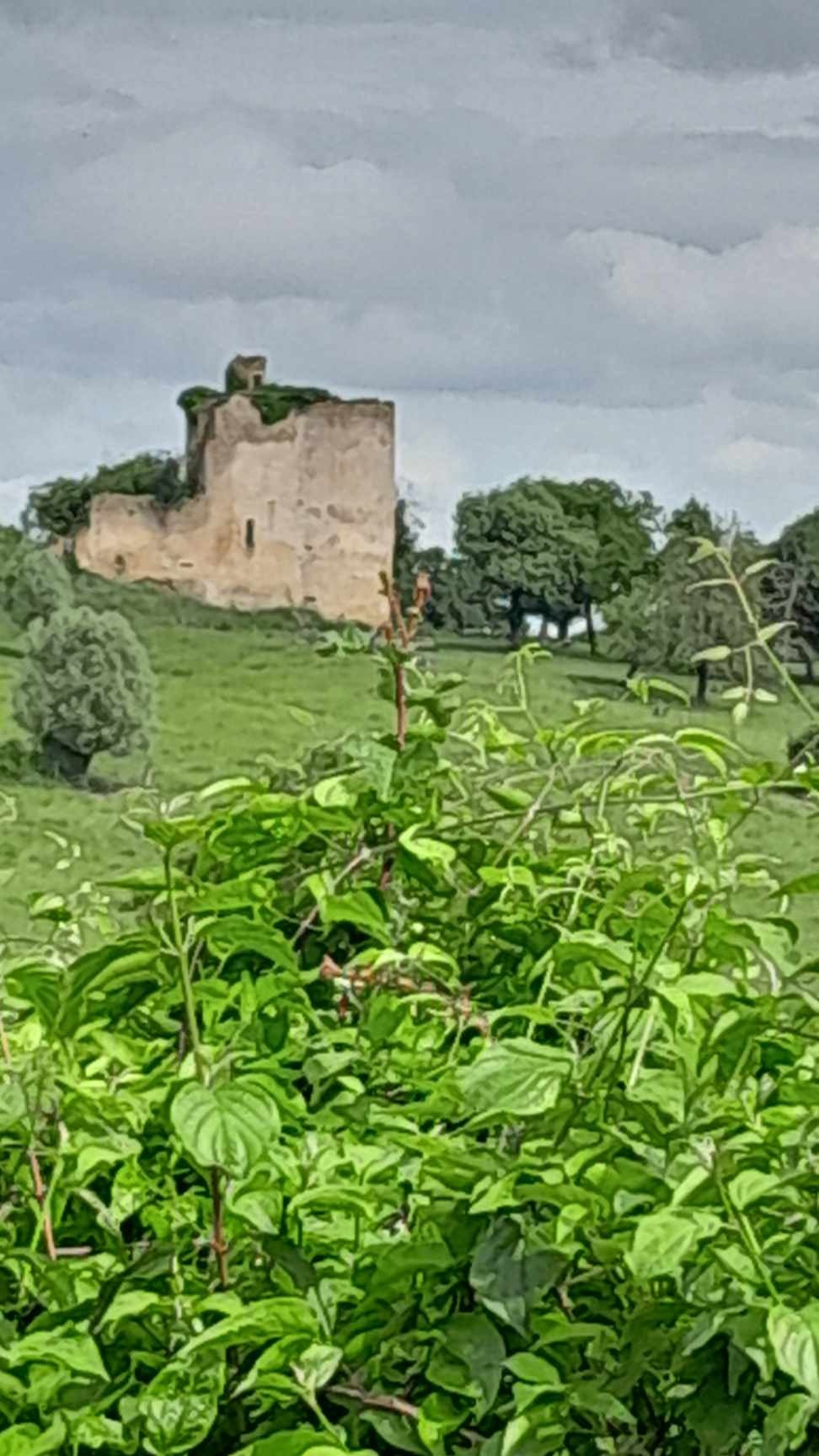 Frasnay-Reugny_ 04 Juin 