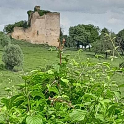 Frasnay-Reugny_ 04 Juin 