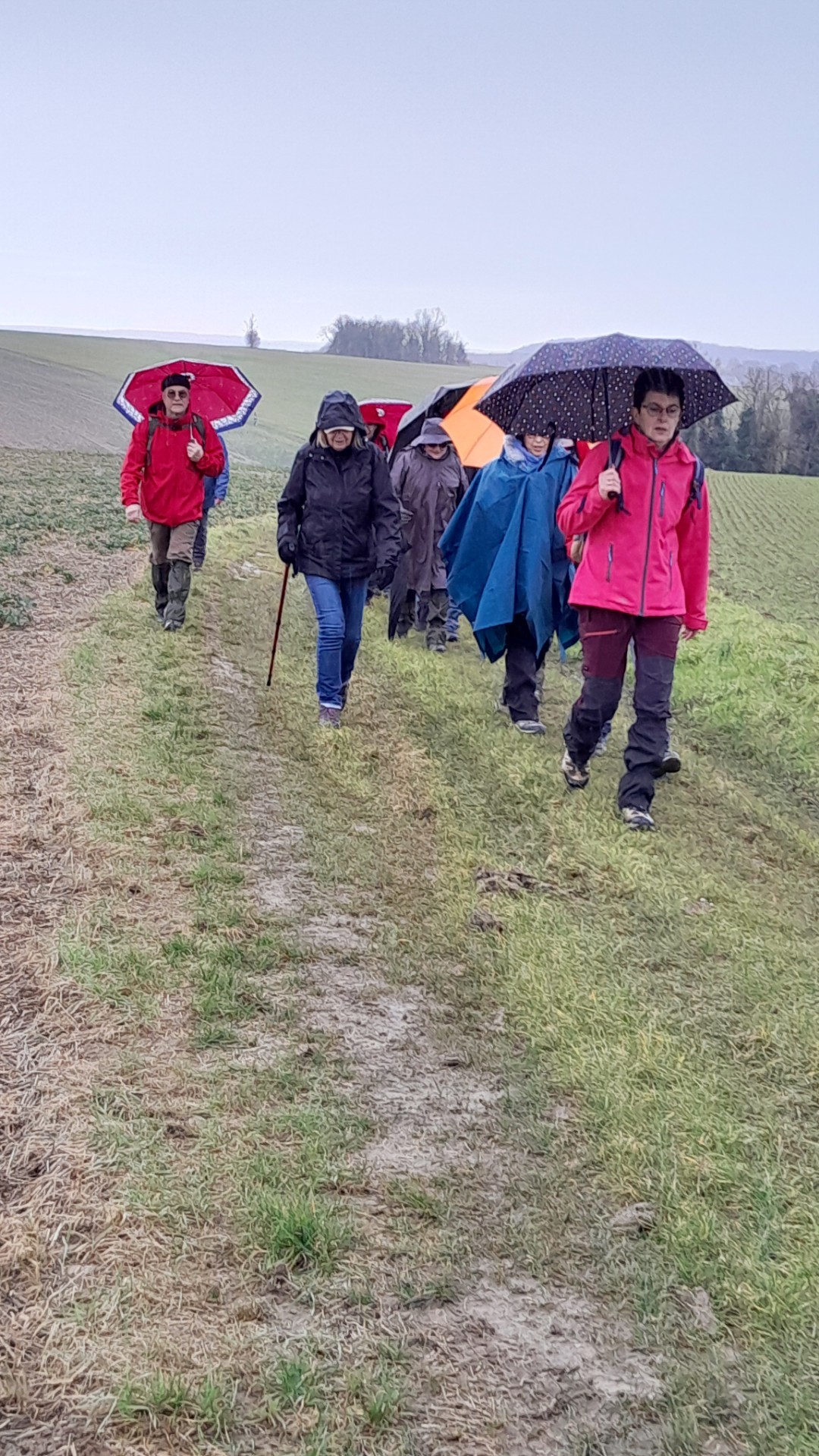 Germigny 29 janvier 2025