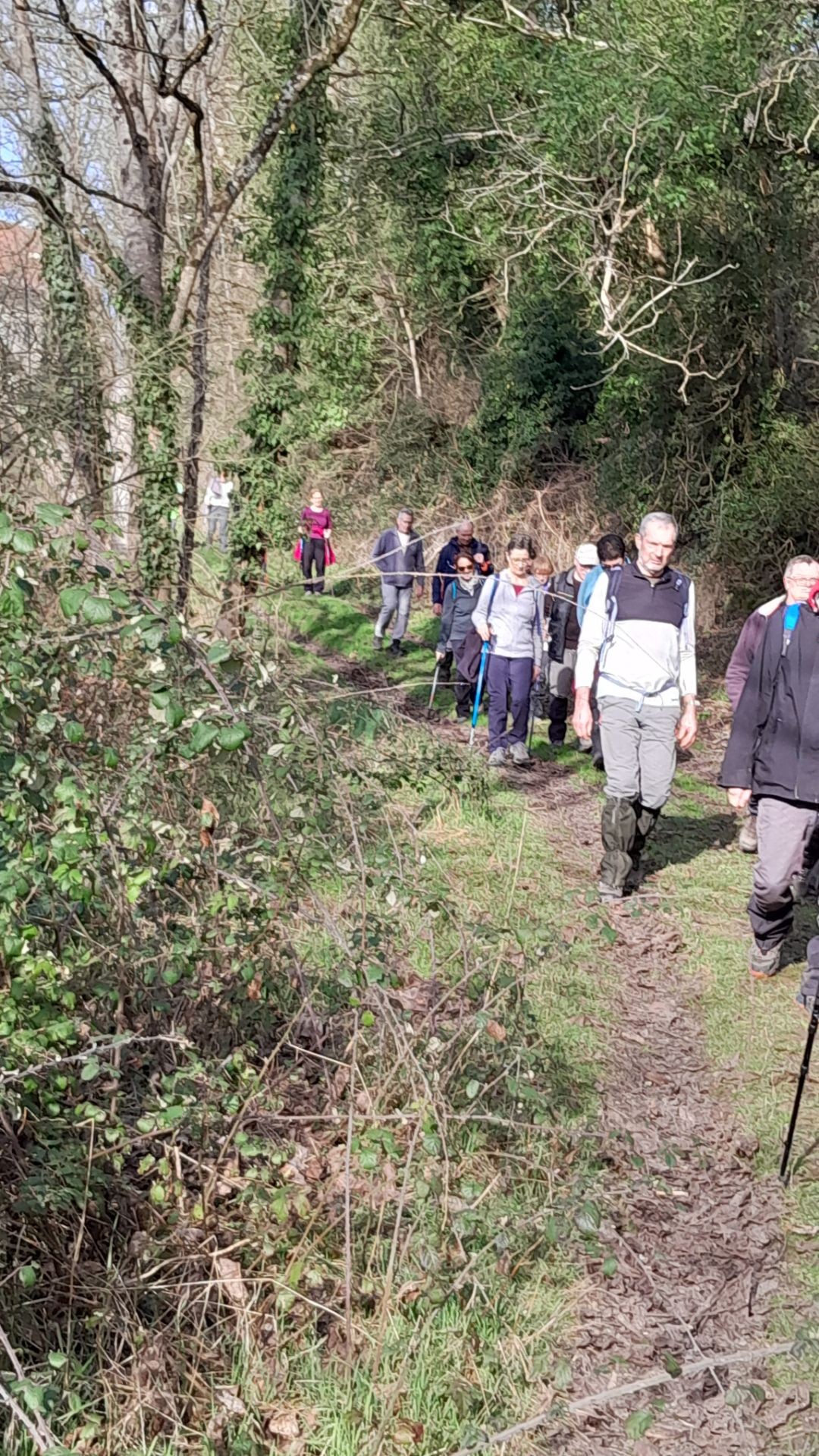 Germigny sur Loire le 14 février 2024