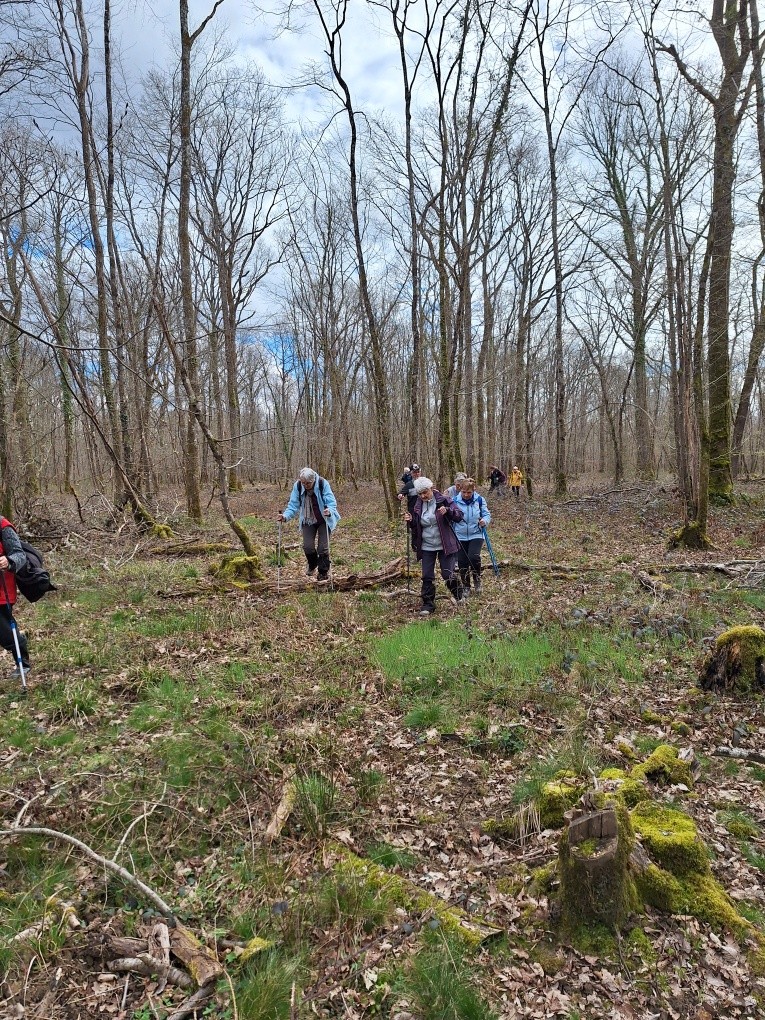 Jouet sur l'Aubois 27 mars 2024