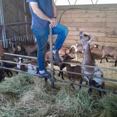 La Brenne 2025 