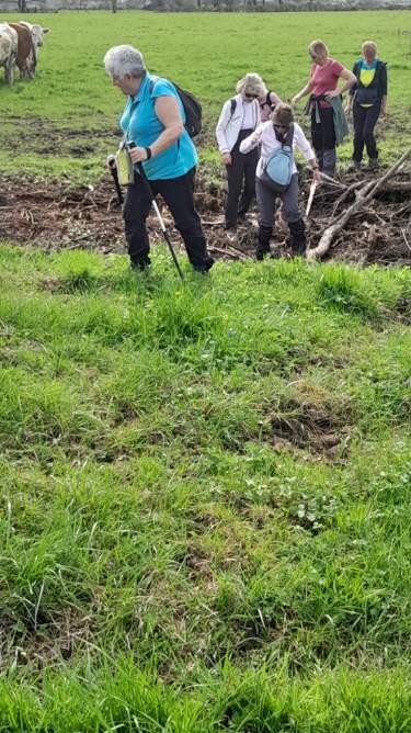 Mars sur Allier le 20 mars 2024