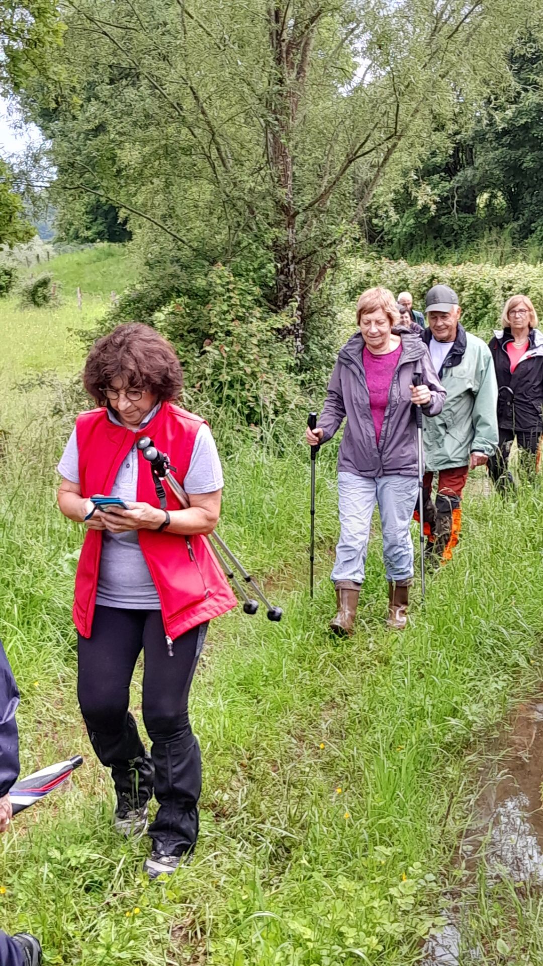 Montigny aux Amognes 22 mai 2024