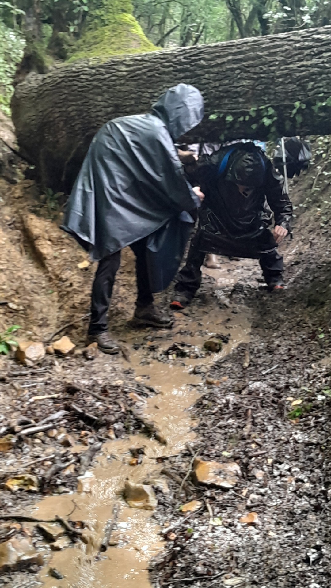Montigny aux Amognes 22 mai 2024