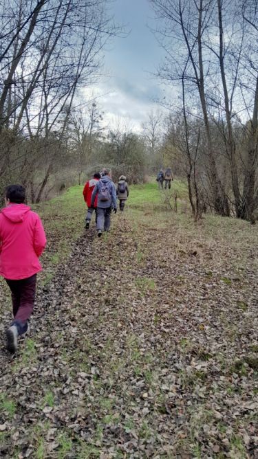 Nevers le 20 novembre 2024