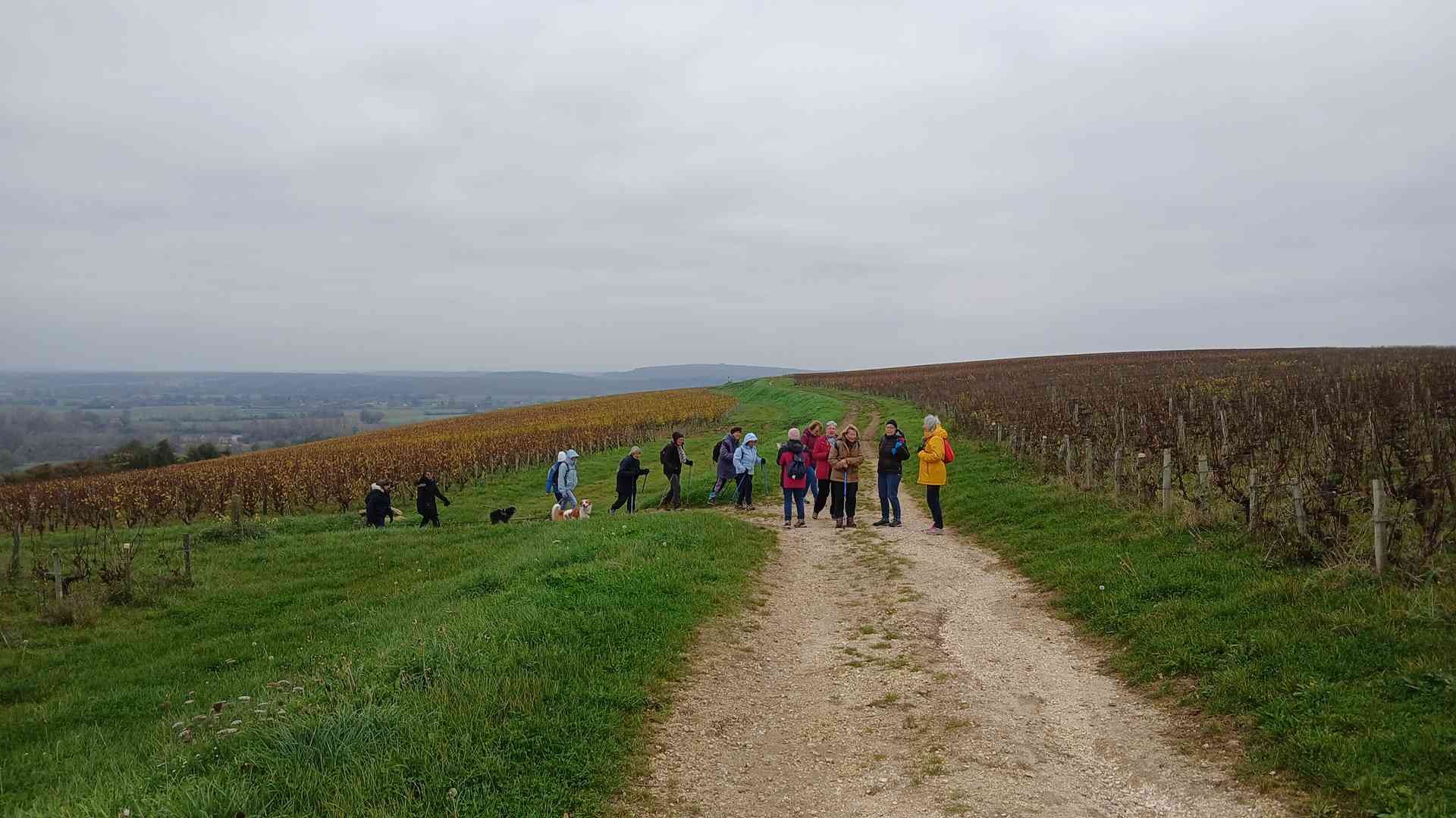 Pouilly sur loire 13 novembre 2024 1 2