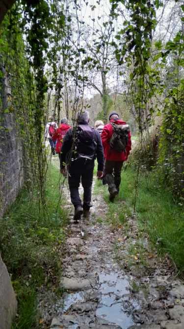 Pouilly Sur Loire 13 novembre 2024