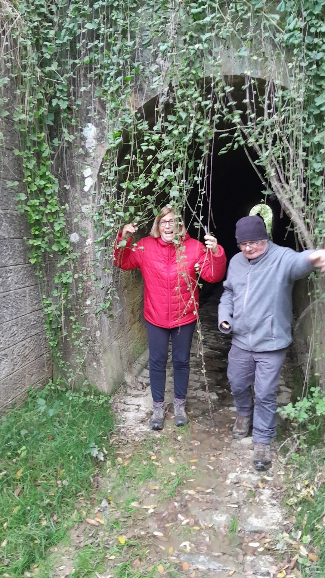 Pouilly Sur Loire 13 novembre 2024