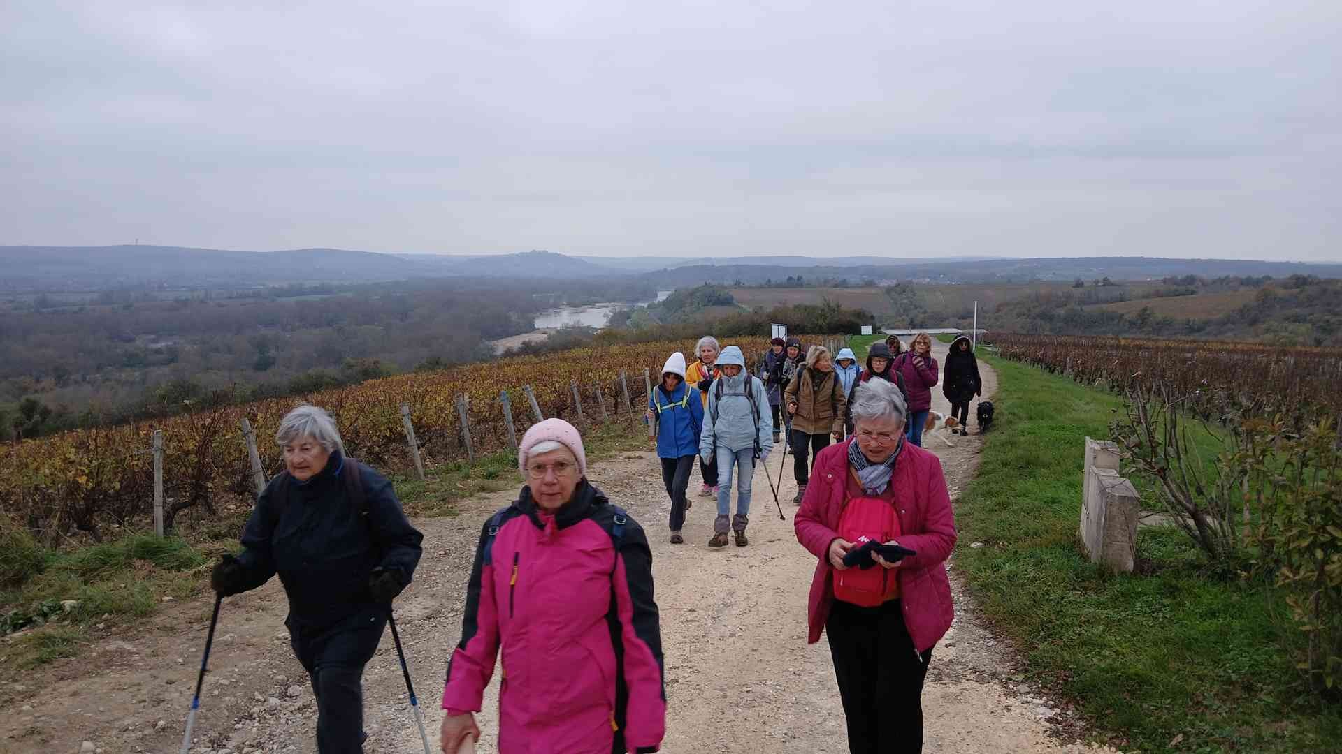 Pouilly sur loire 13 novembre 2024 2 2
