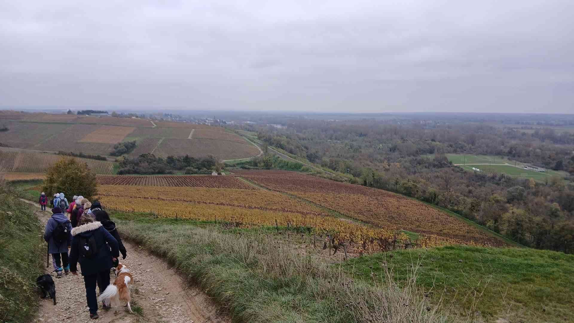 Pouilly sur loire 13 novembre 2024 3 2
