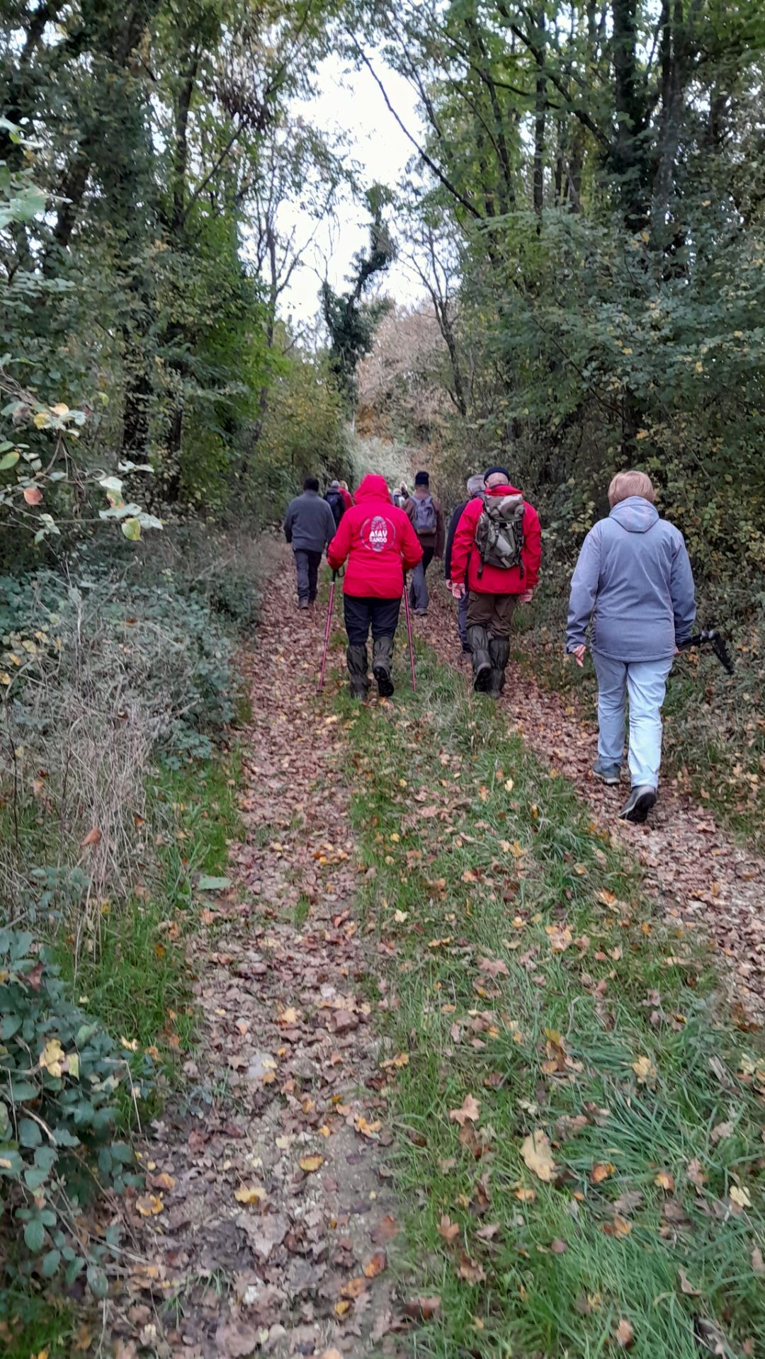 Pouilly Sur Loire 13 novembre 2024
