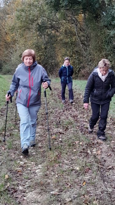 Pouilly sur loire 13 novembre 2024 5 1