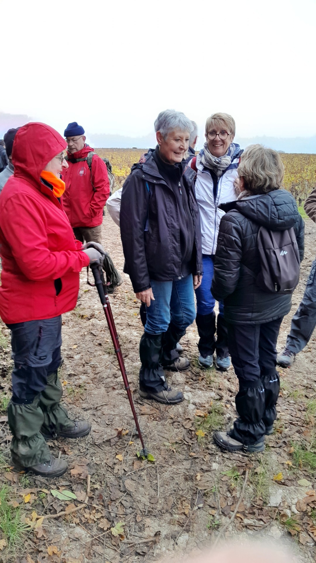 Pouilly sur loire 13 novembre 2024 6 1
