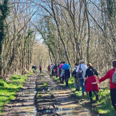 Saint-Parize_05 mars 2025