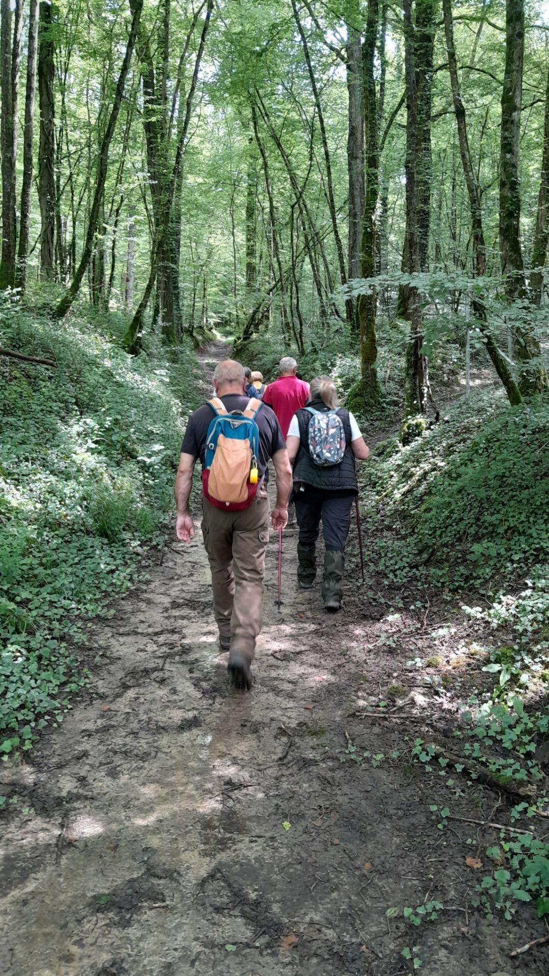 Sauvigny les bois le 19 juin 2024