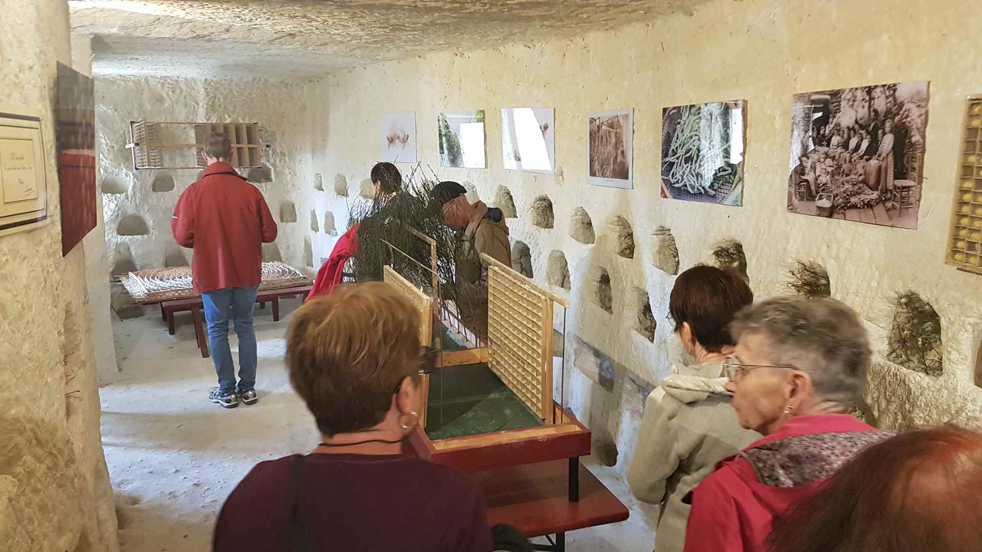 Séjour 2024 Les Saulaies